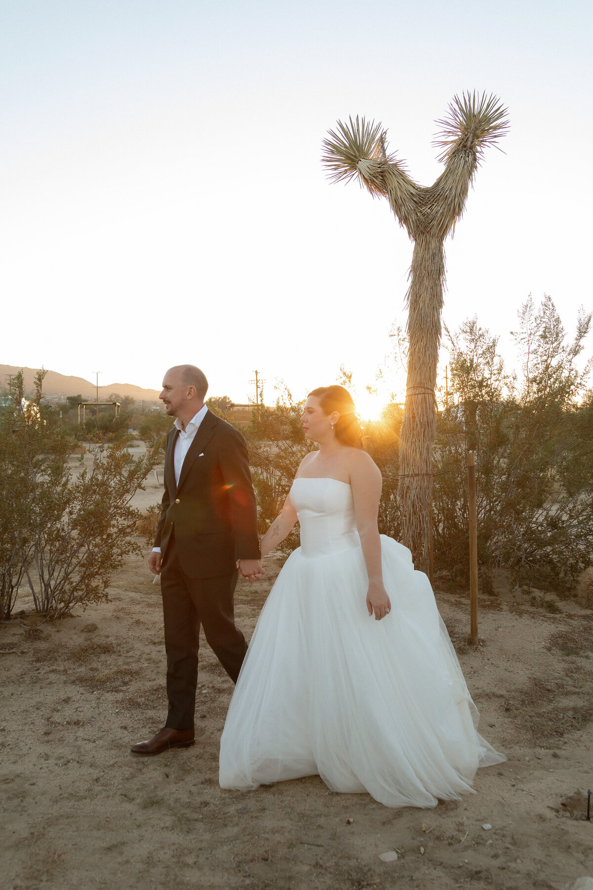 abstillsphotography_joshuatreeweddingphotographer-1209
