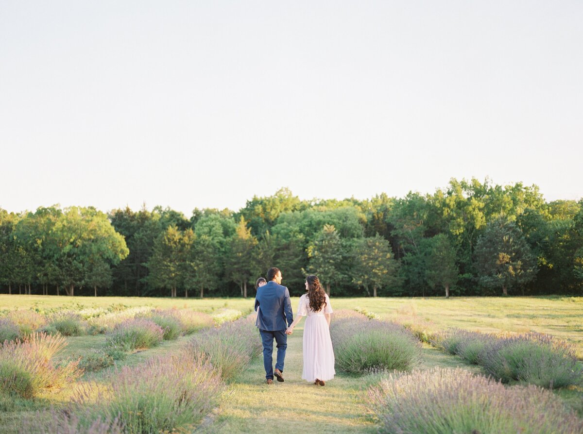 lavender field family photographer northern virginia