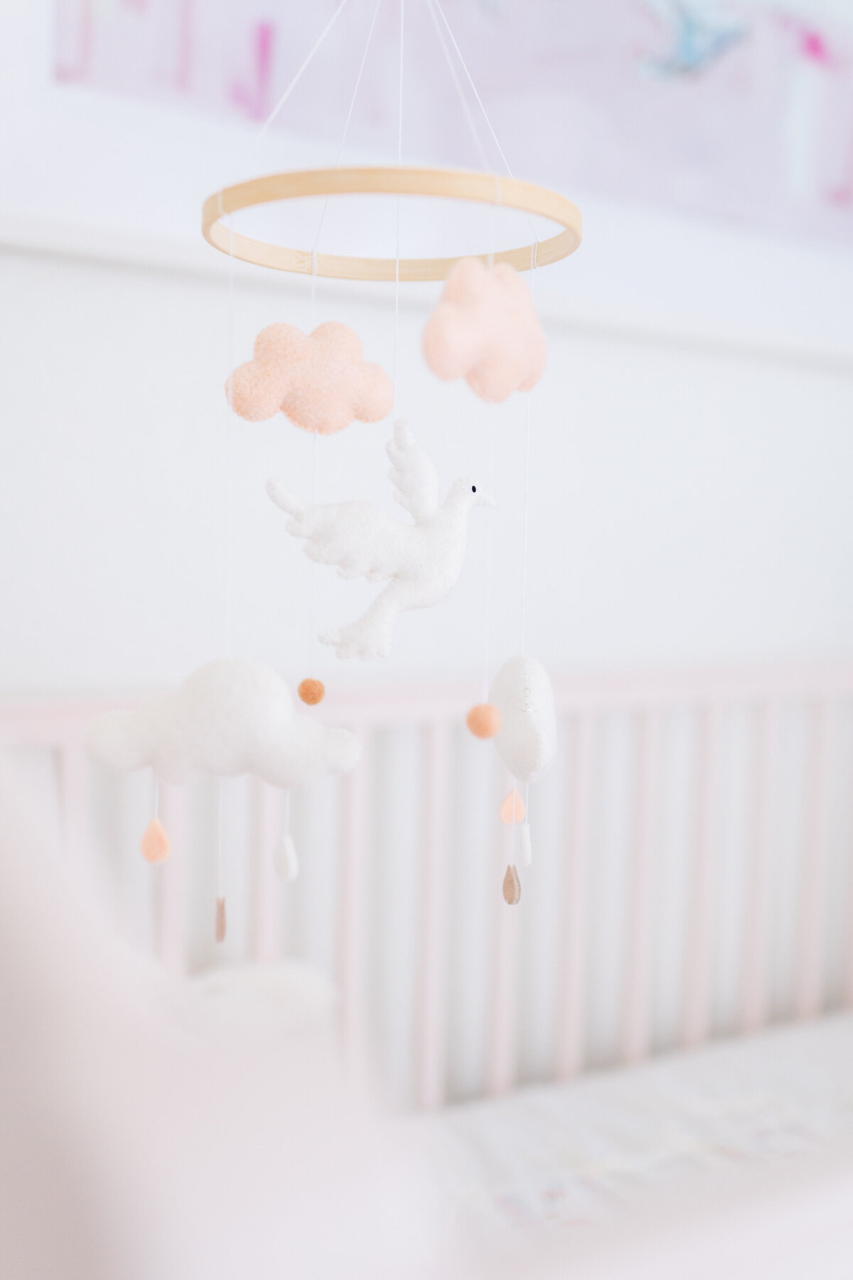 newborn photography cave springs-2104