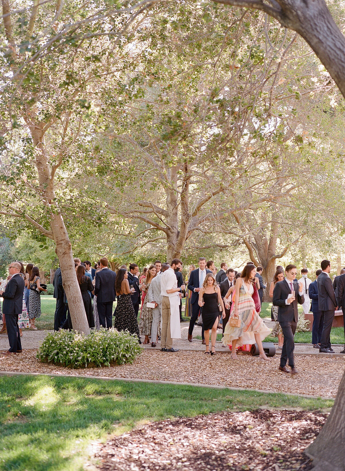 meg-smith-photographer-wedding-lifestyle-california00012