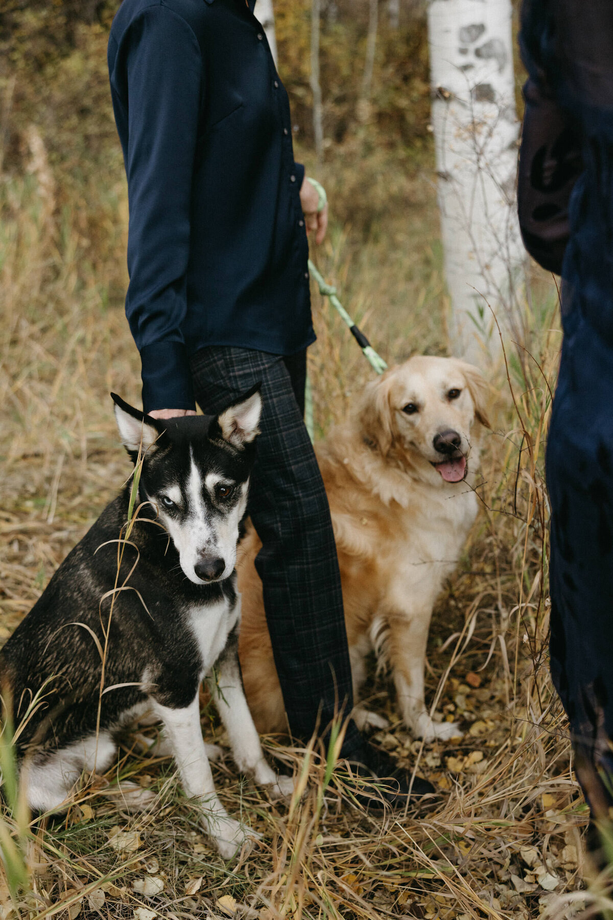 colorado-wedding-photographer-14