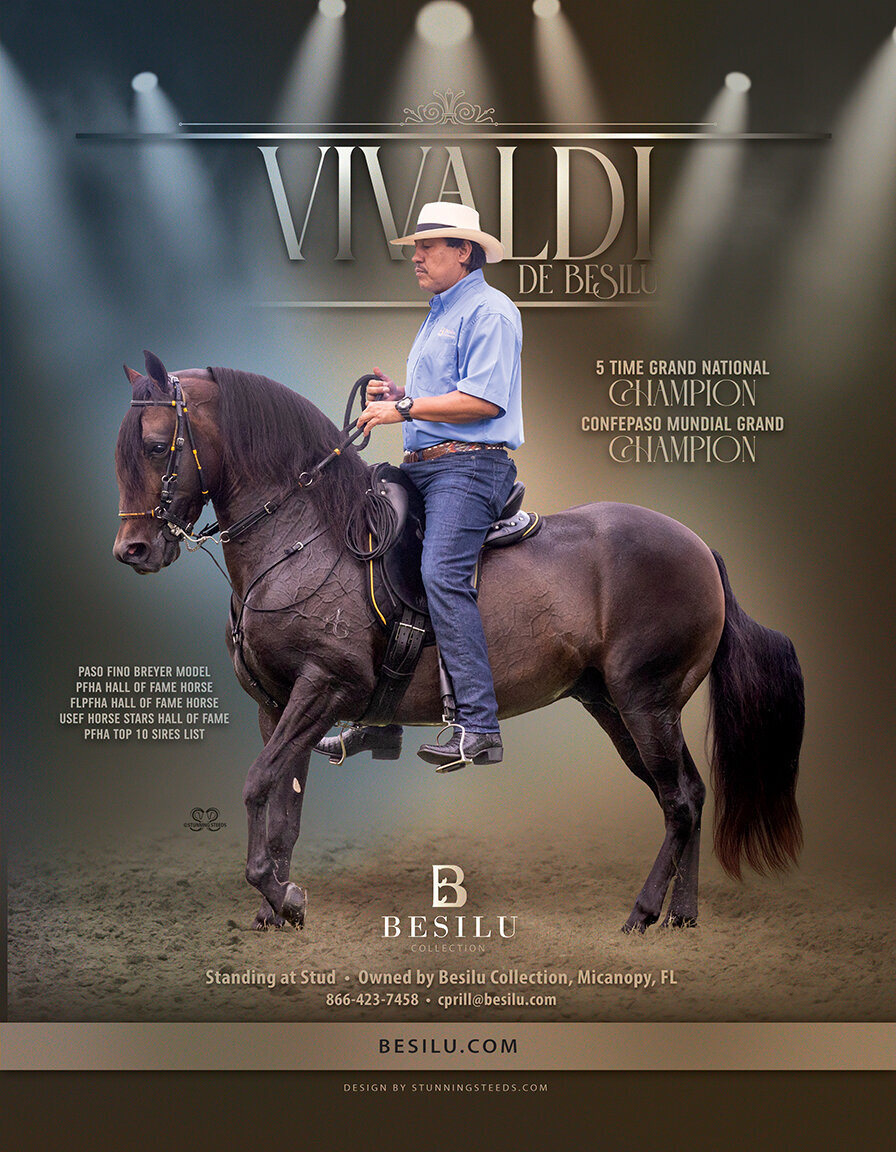 full pg 8.5x11-vivaldi de besilu-LOWRES
