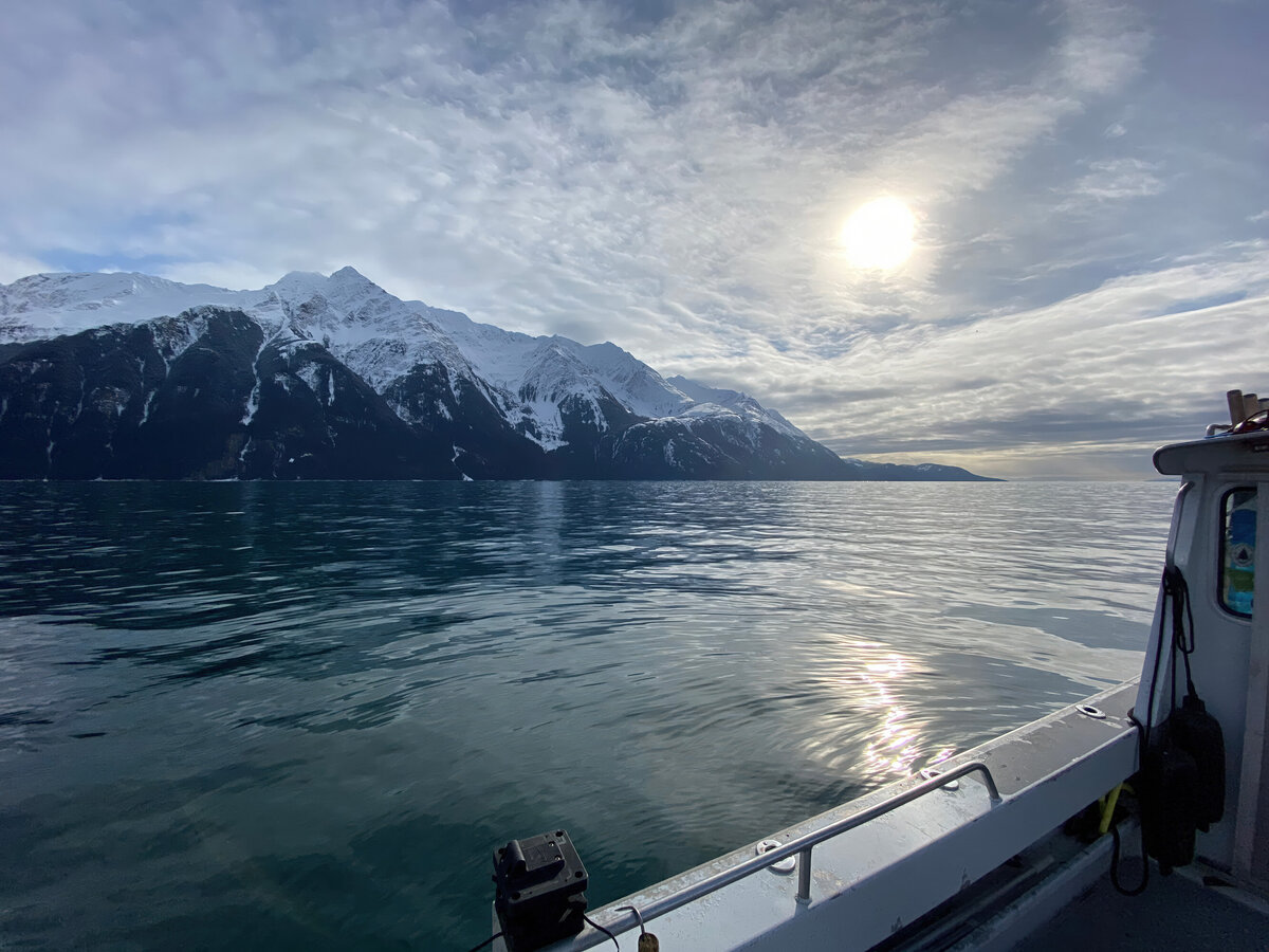 Calm Lynn Canal