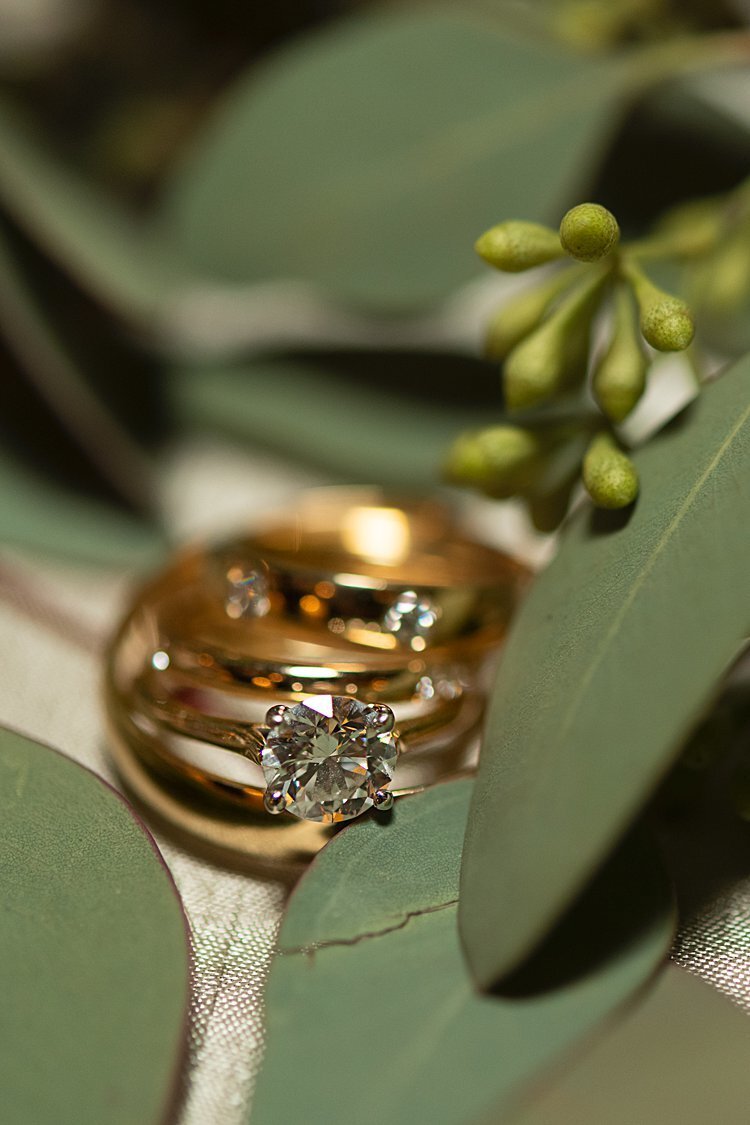 Gold engagement and wedding rings on green foliage