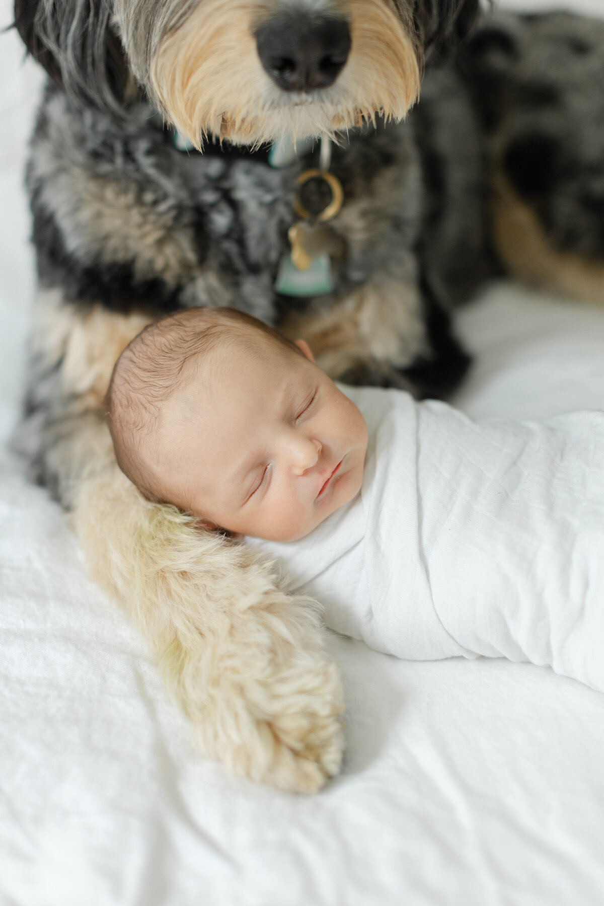 In-home newborn portrait session in Philadelphia - 12