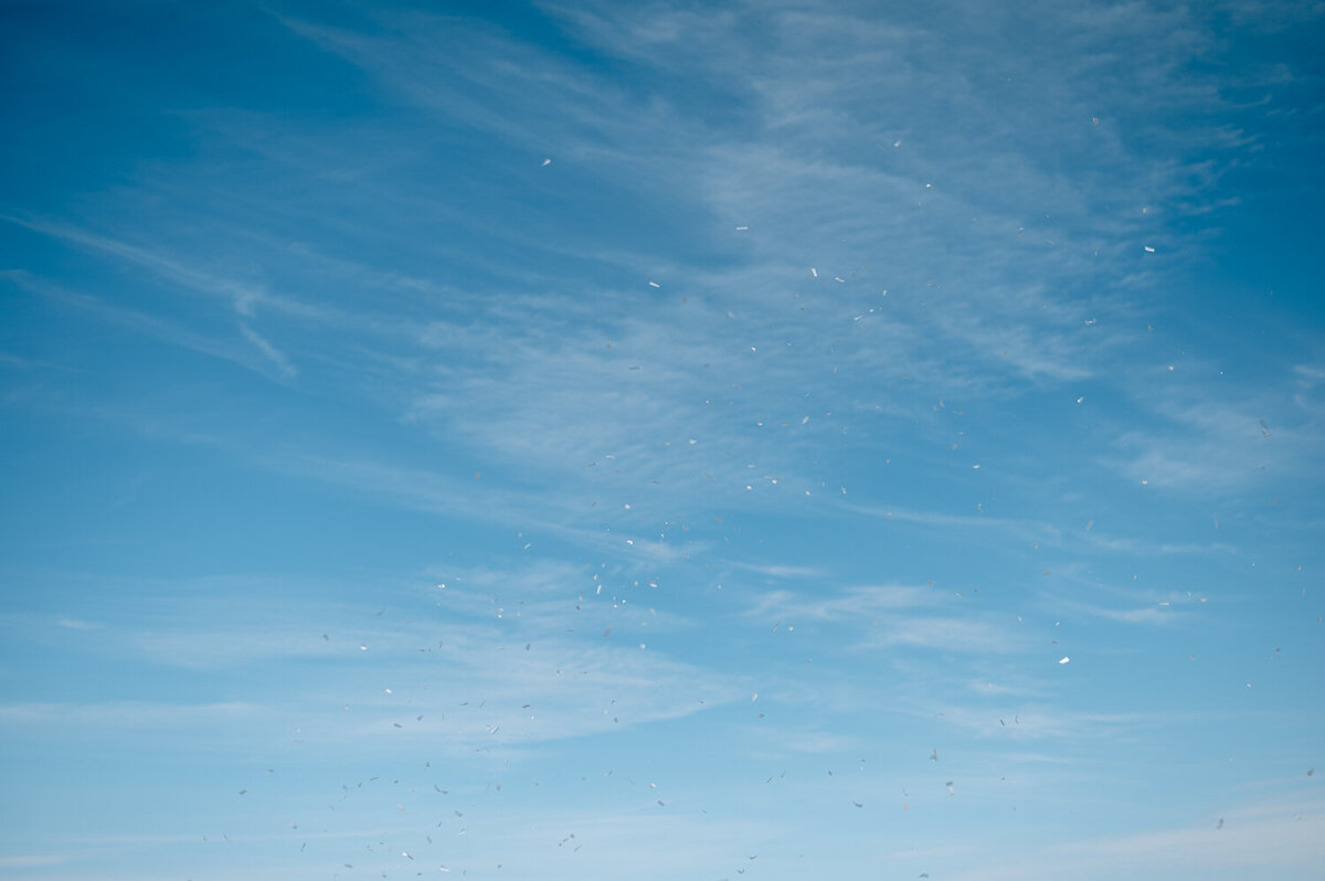 Nova-Scotia-wedding-photographer-74