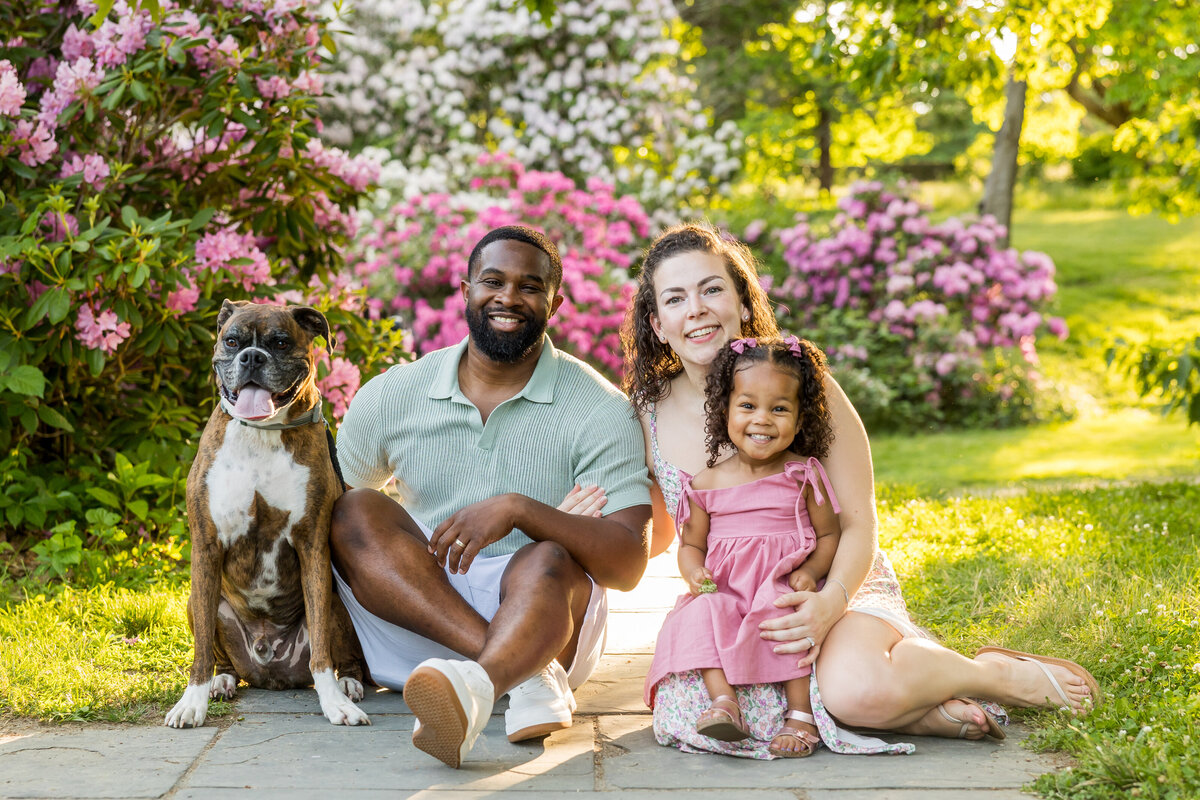 golden hour family photo shoot boston area photographer