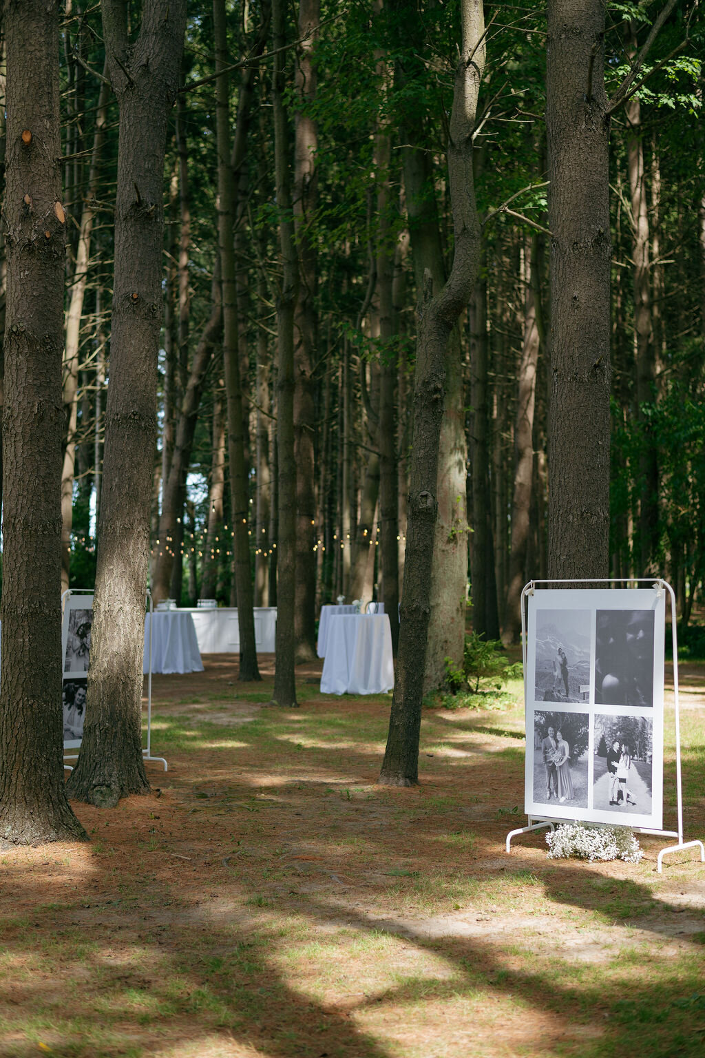 Wheatfield Estate x Tamara Rose Photography117