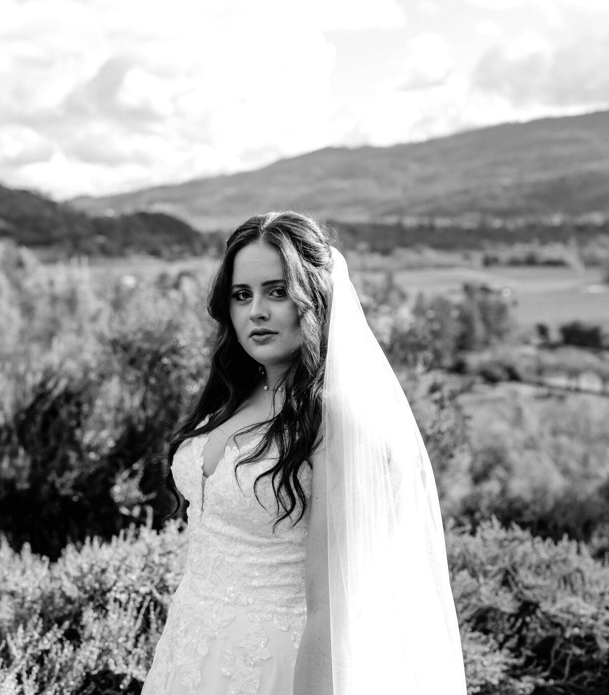 12302023_McKenna+TaylerWedding_CalistogaCA_AnjaJensenPhotography-176