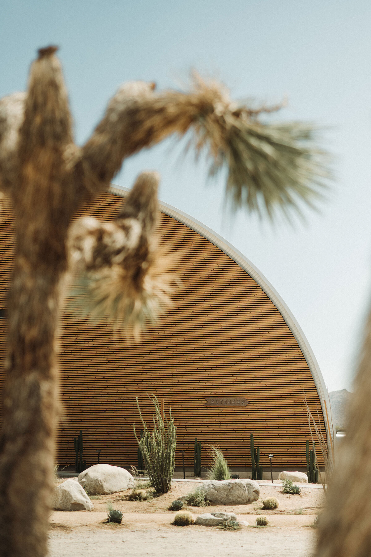JessRankin-AutoCamp-JoshuaTree5