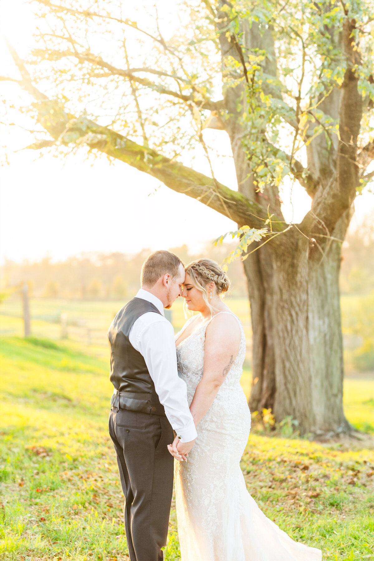 Newlyweds touch foreheads and hold hands while standing under an old tree in a pasture at sunset