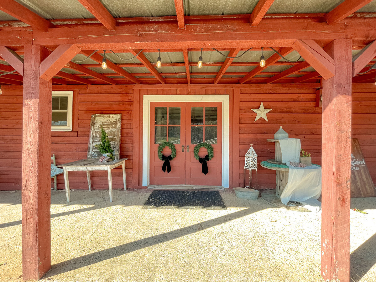 Mountain-Laurel-Farm-Christmas-Mini-Session-Photo-Venue237