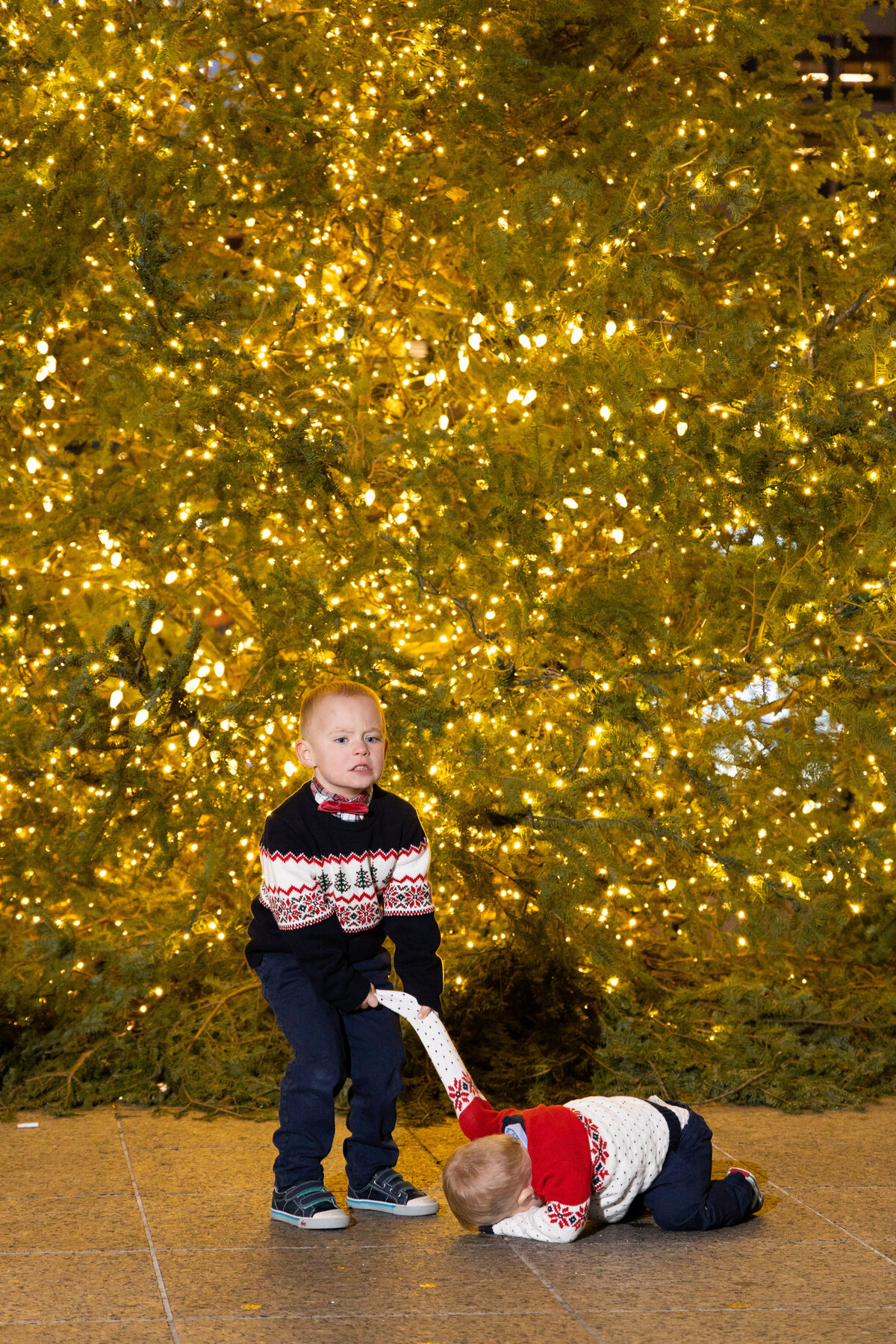SchneiderHoliday2023_0006