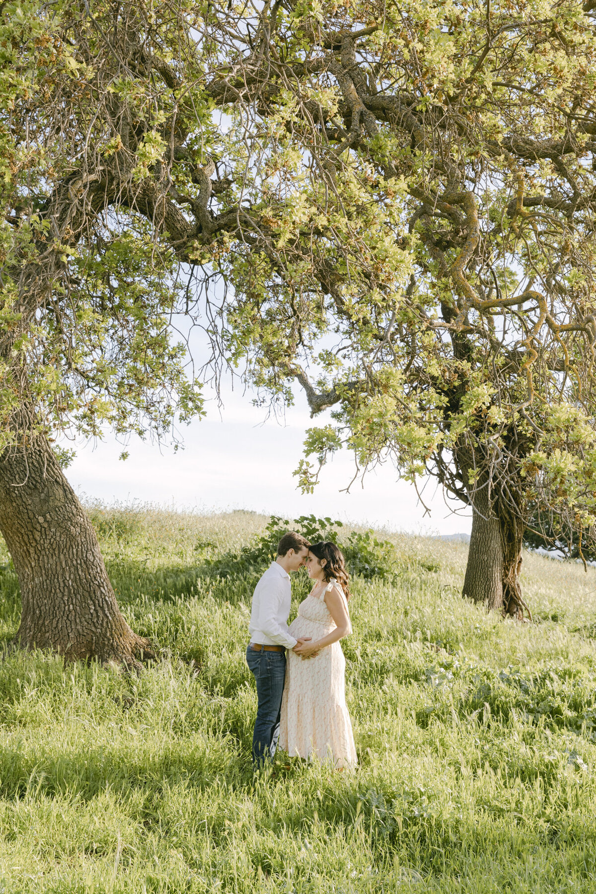 PERRUCCIPHOTO_SPRING_OPEN_FIELD_WILD_FLOWER_MATERNITY_5