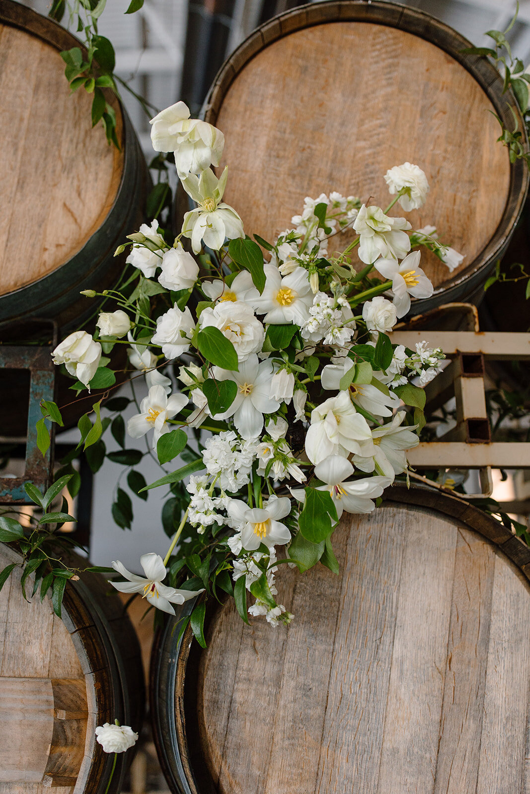wine barrel backdrop
