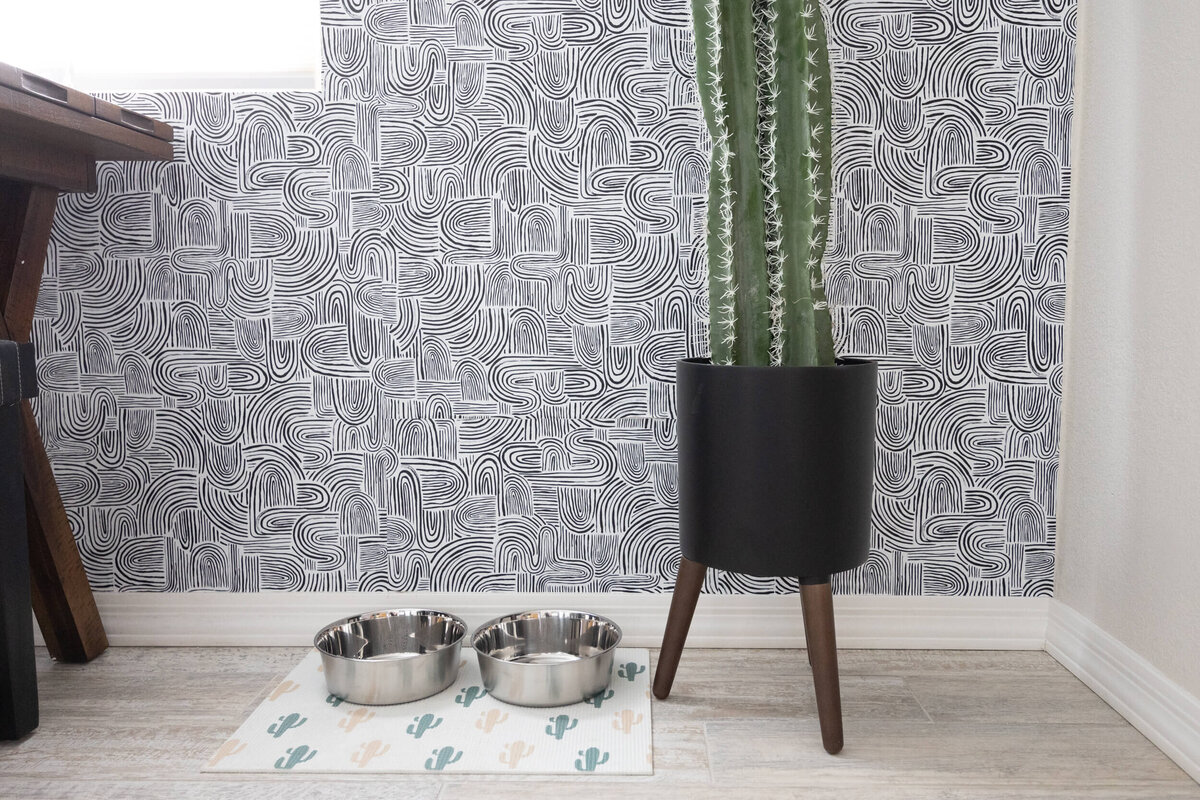 Phoenix airbnb coronado cactus-12