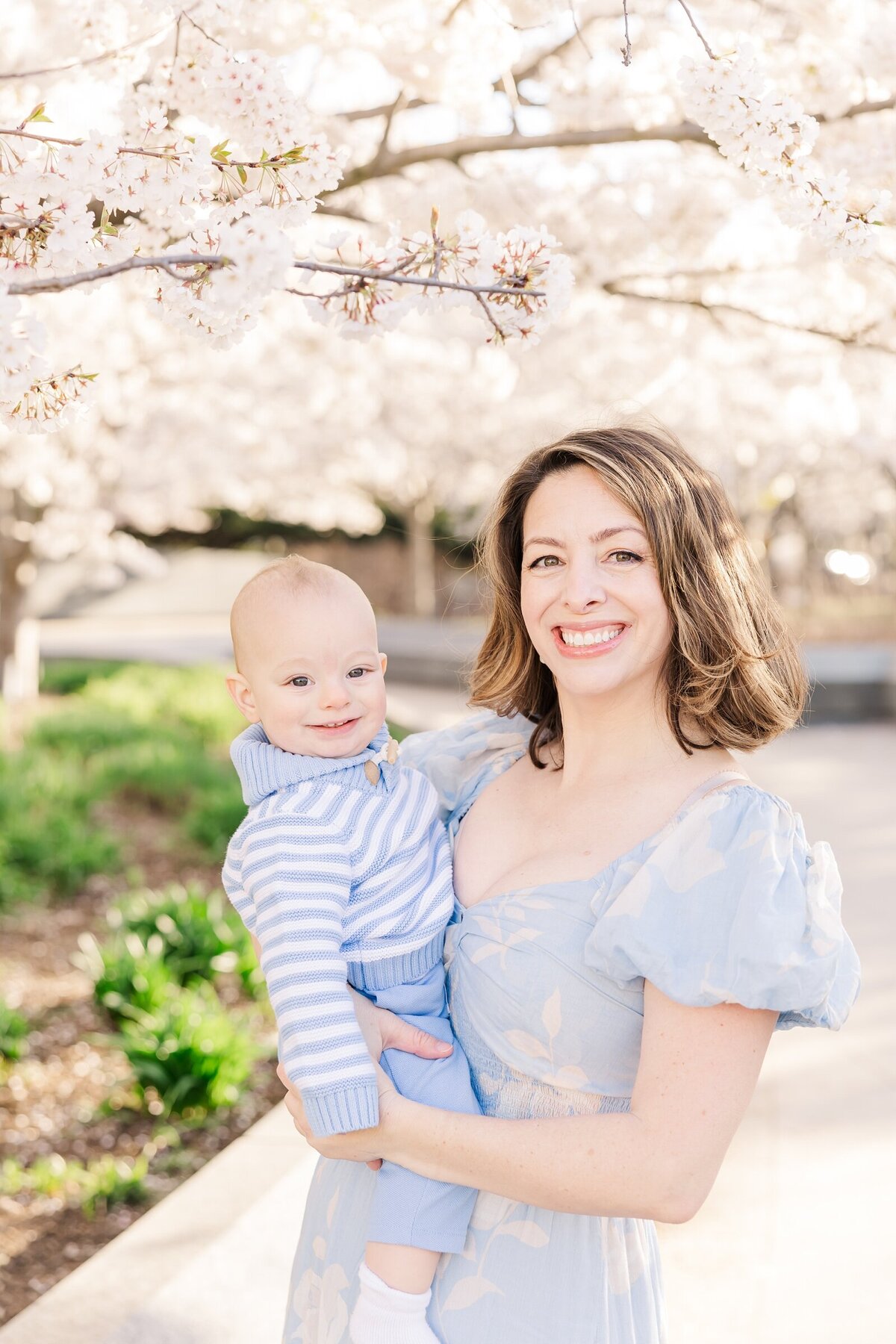 Mom holding her baby under the cherry blossoms in Washington DC