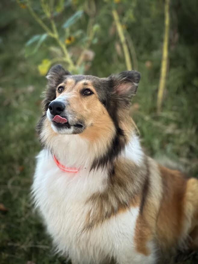 Omega licking lips Pic #4