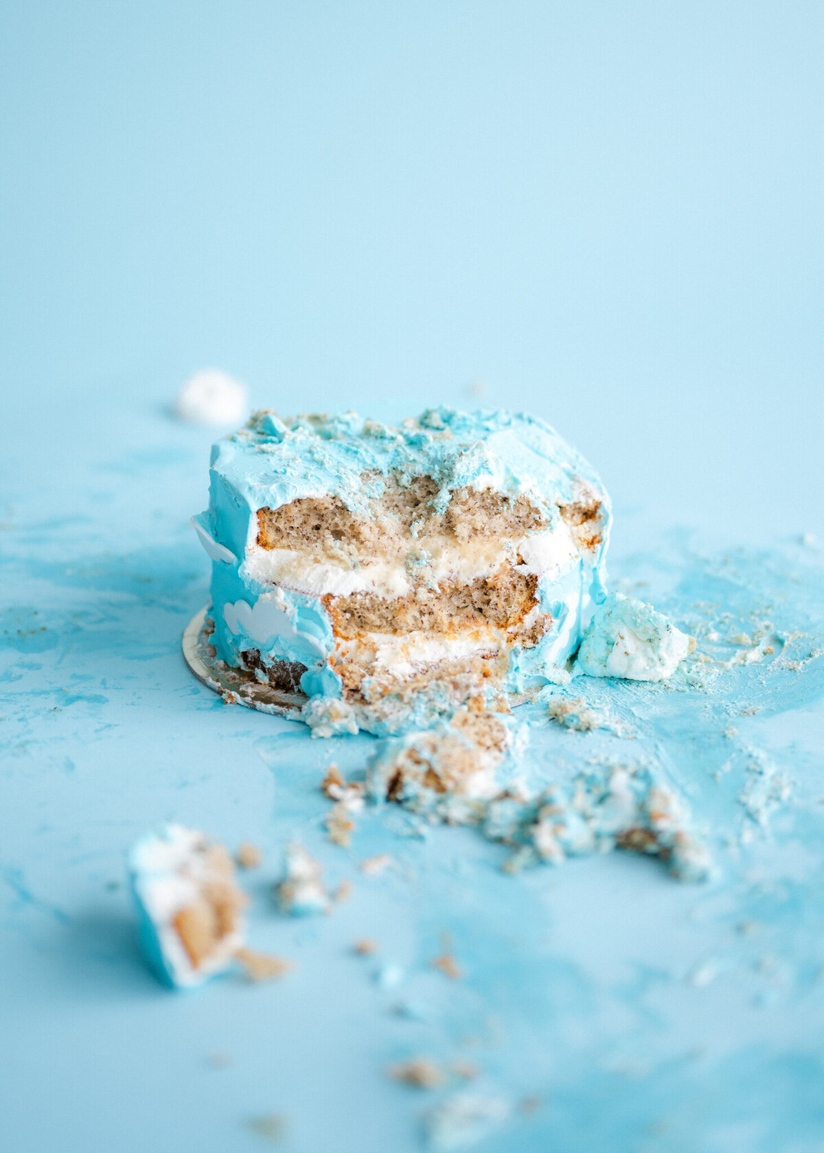 Family Photography Cake Smash