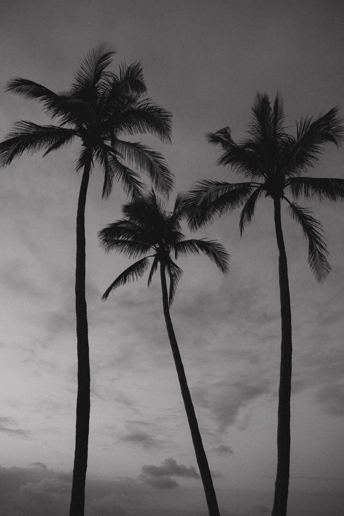 PalmBeachSunriseCouplesSession-1