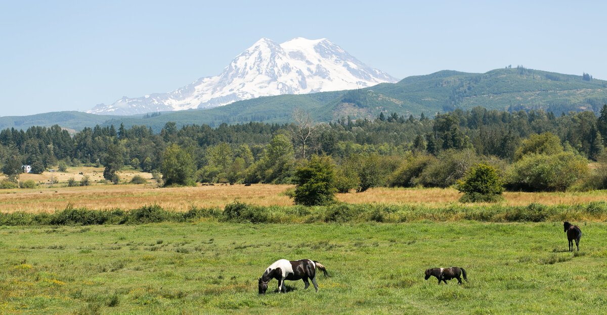 0001-2016July30-ChelseaJustin-P-0009