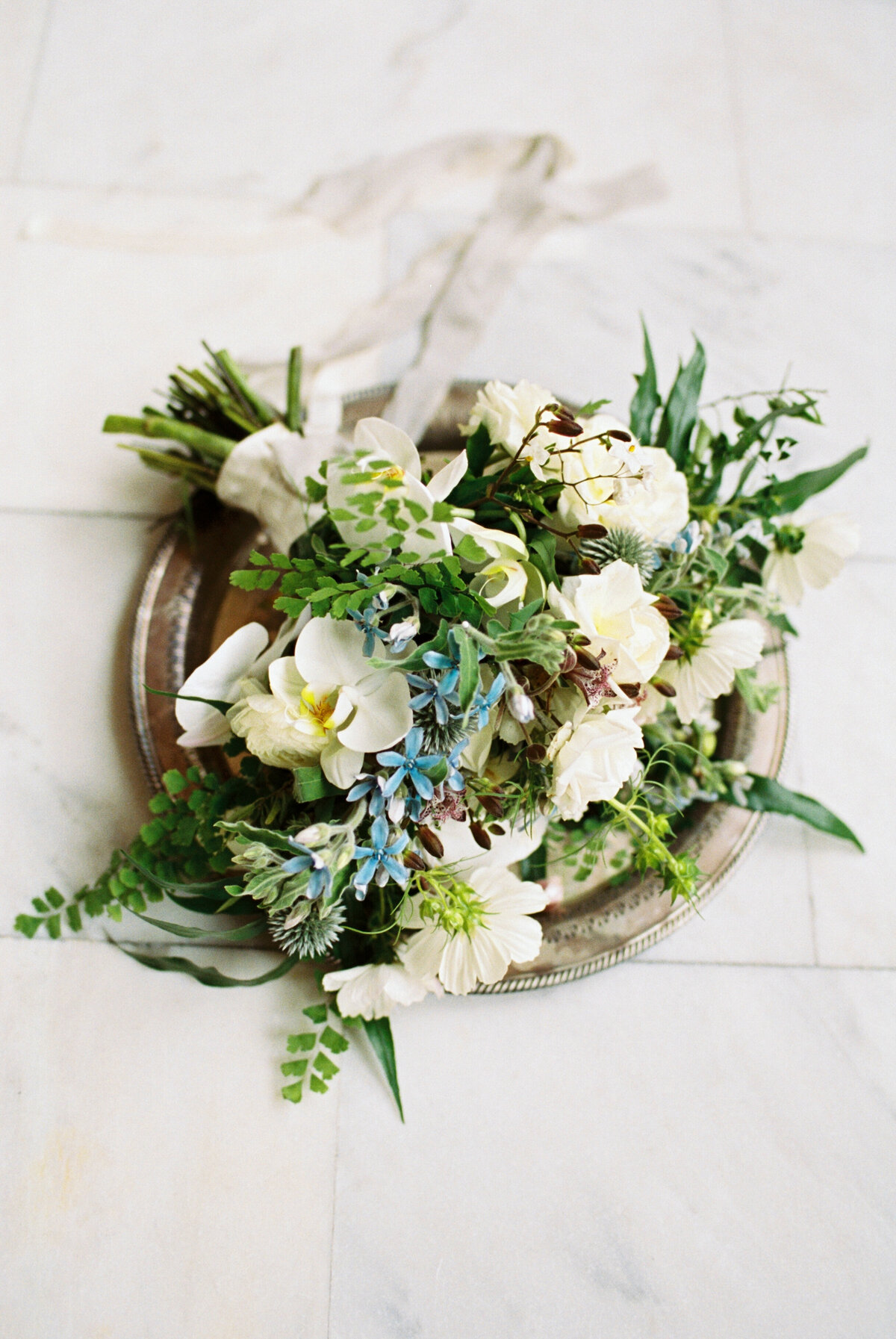 catie-coyle-photography-57