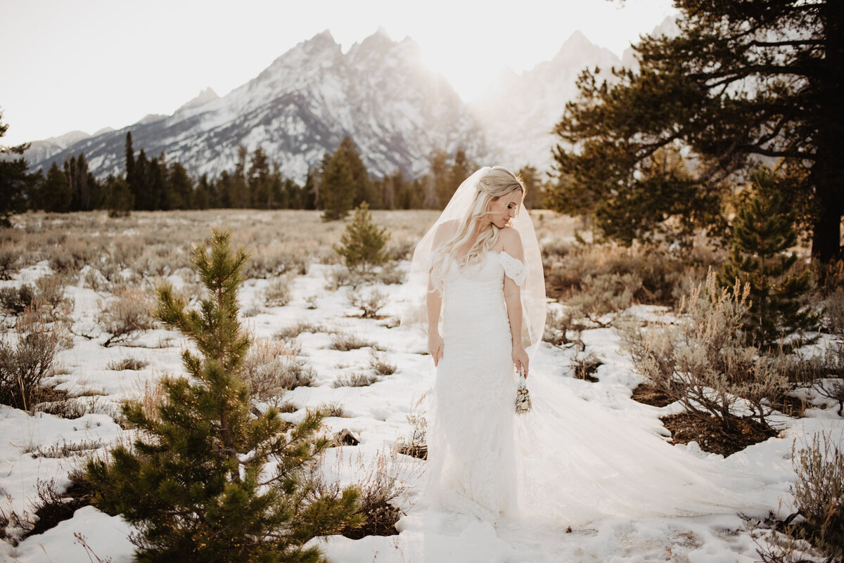 Jackson Hole Photographers capture bride portraits