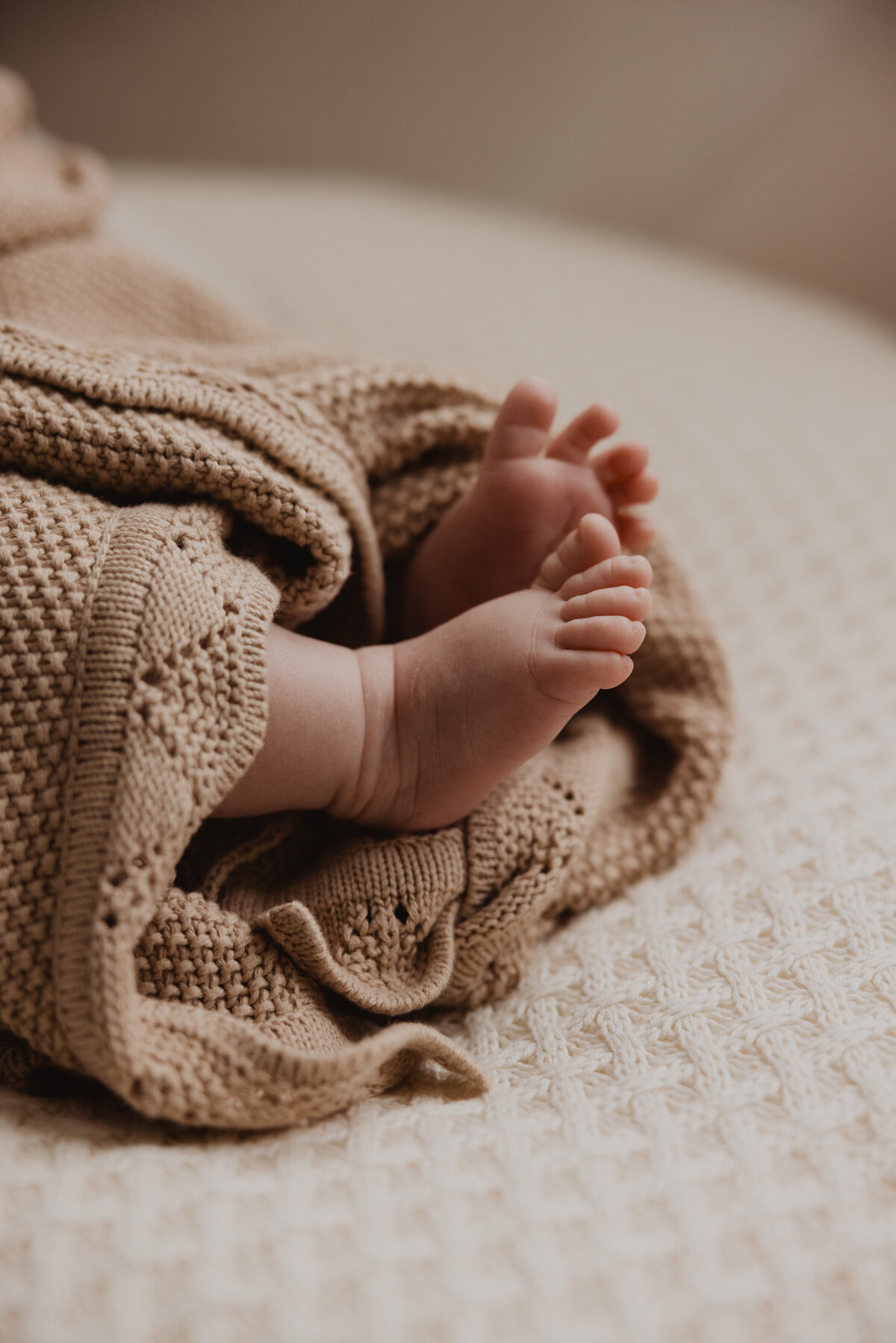 lauren-gray-sydney-newborn-photographer-230515-0026