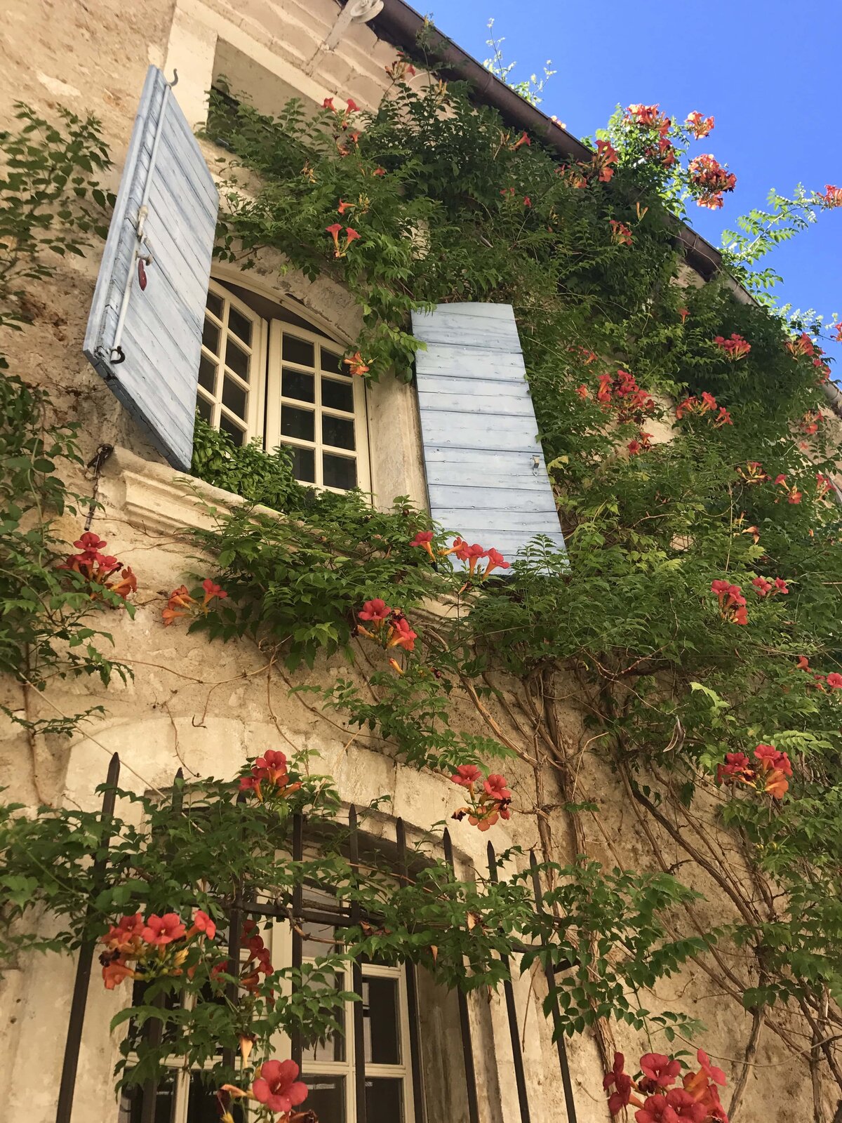 mer-bleue-france-hayes-12