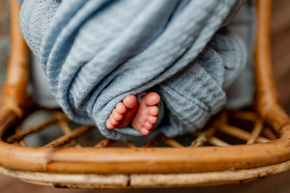 best NWA newborn portraits, newborn photoshoot near me, Northwest Arkansas newborn portrait studio, best NWA baby photographer
