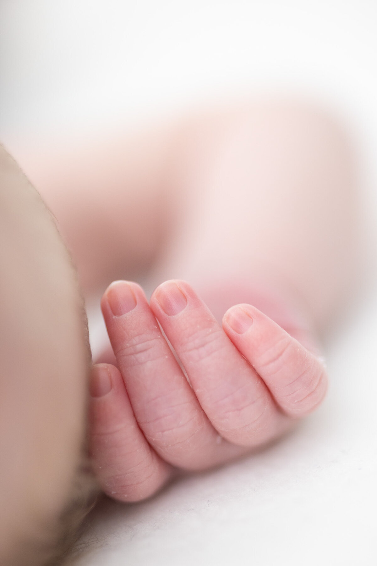 02-små-Fotograf -Linn Landmark-9631