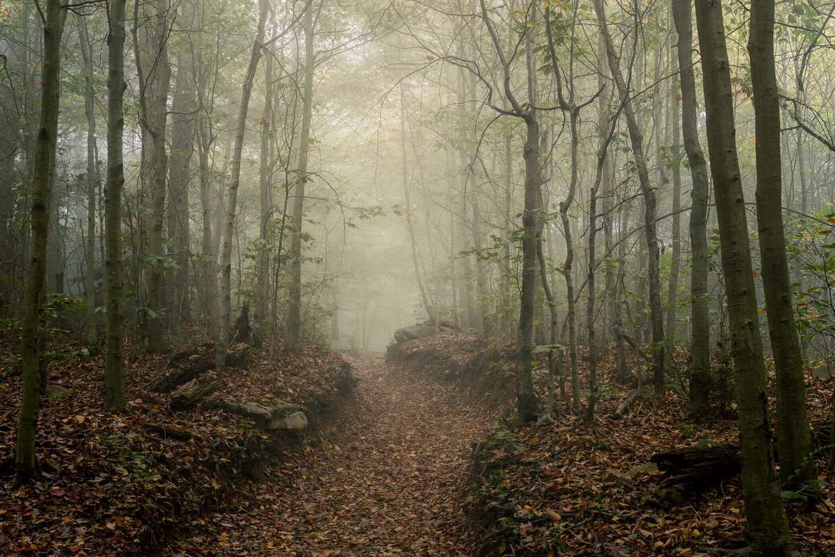 Appalachia-Pennsylvania-PA-Poconos-Landscape-Nature-Photography-Chrissy-Donadi-3