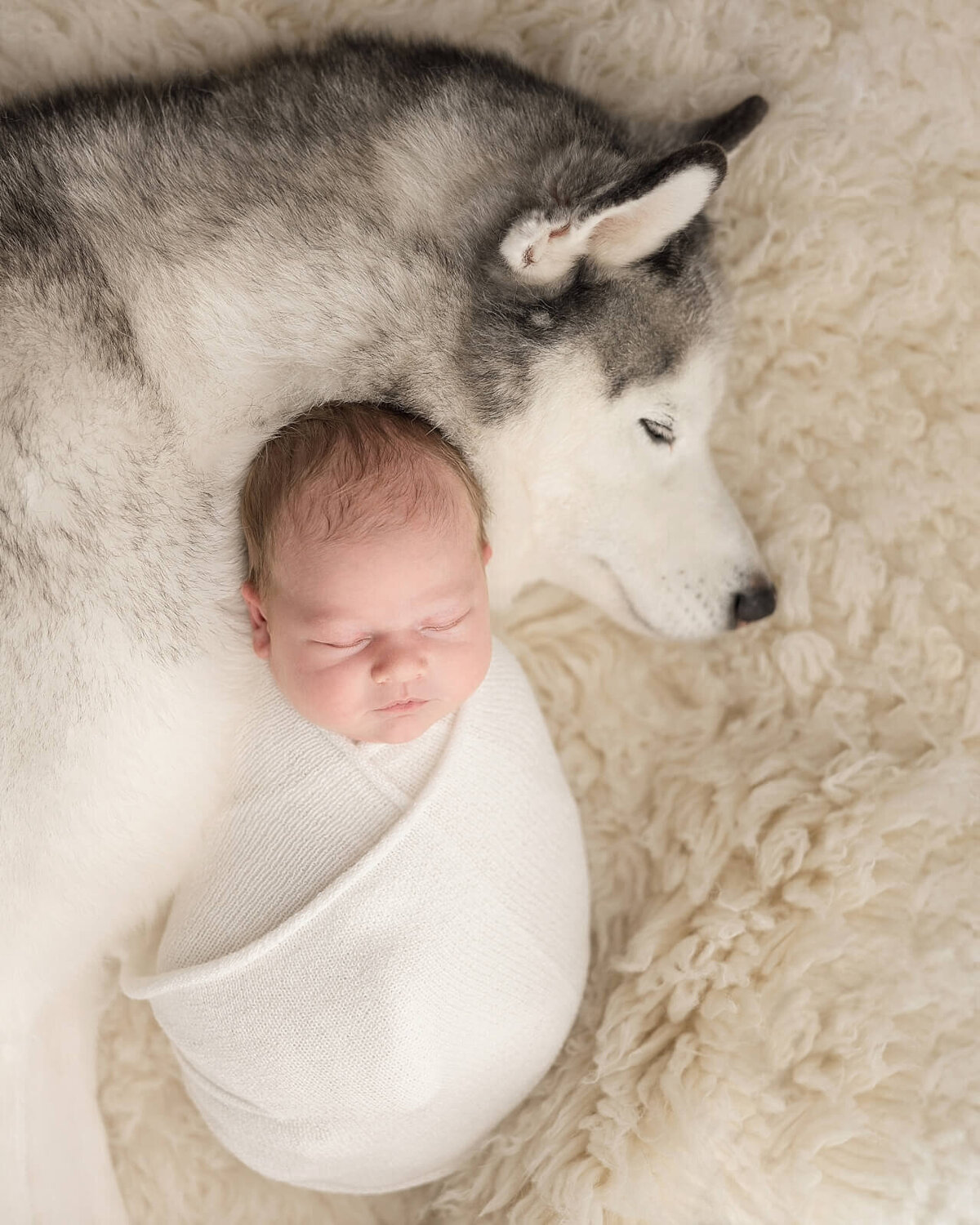 baby boy sleeping with husky dog