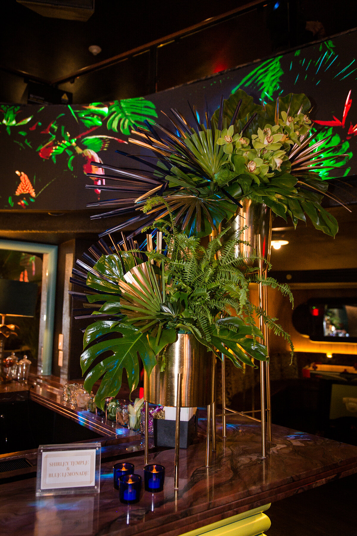 00014-jungle-mitzvah-el-tucan-miami-chris-weinberg-events