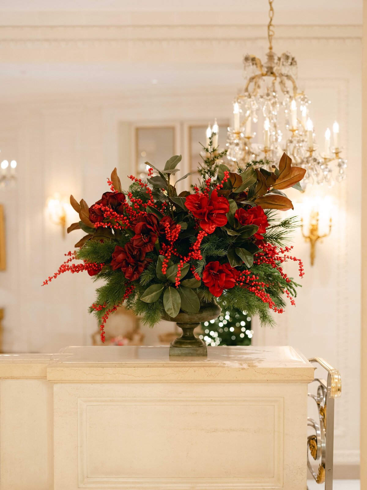 Bristol-Christmas-Paris-2024-Floraison17