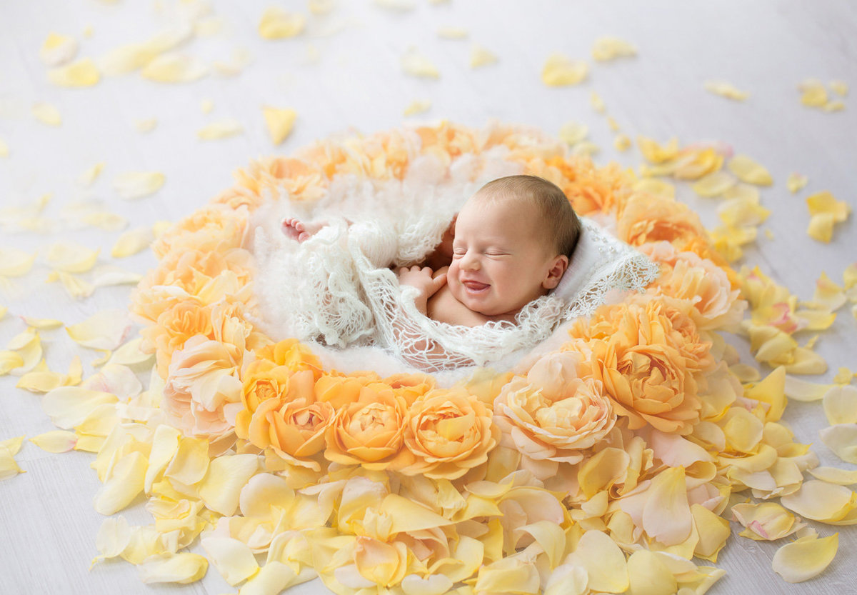 newborn in flowers240