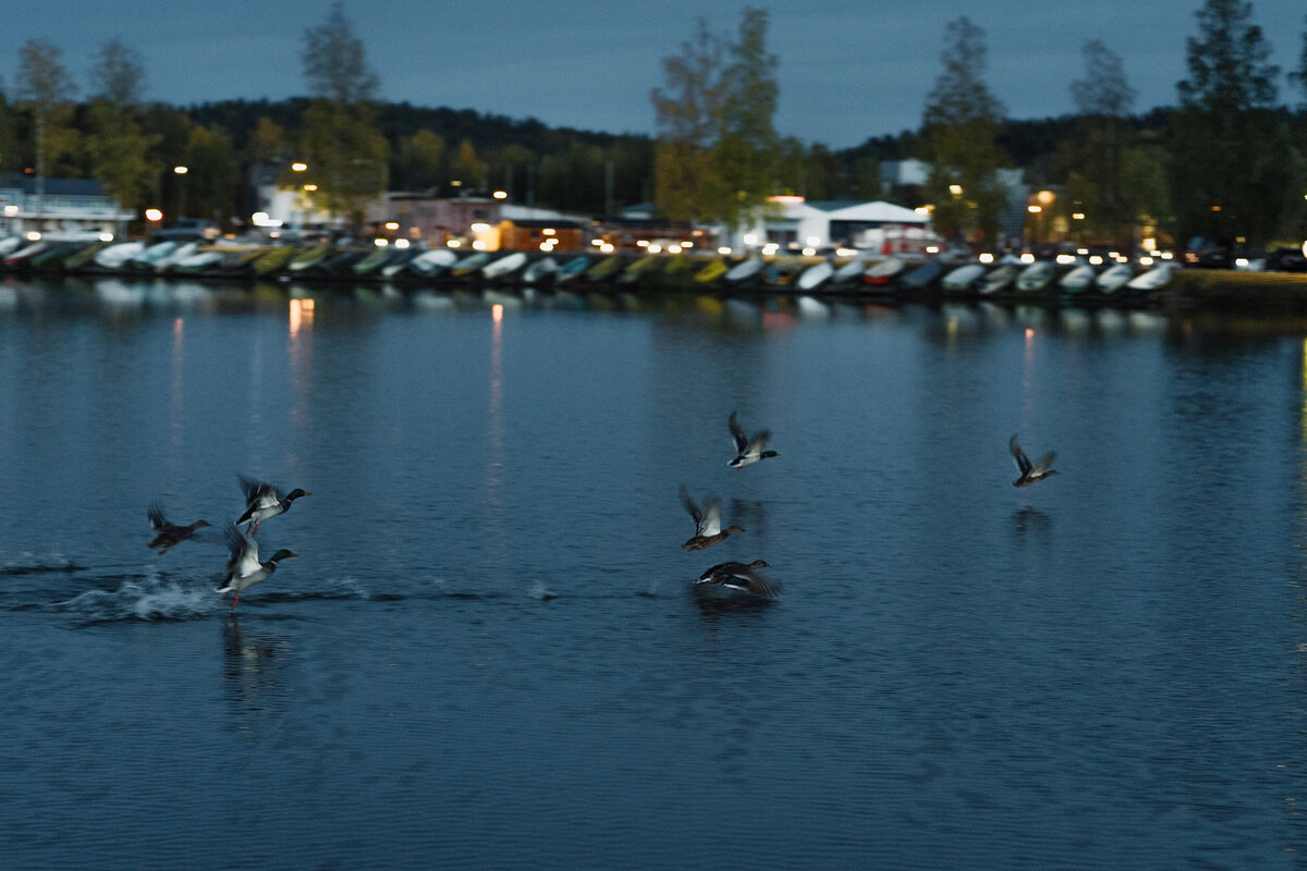 Pariskuntakuvaus Lahti, Hollola, Asikkala, Vääksy, Helsinki, Vantaa, Espoo, Porvoo, Loviisa, Fiskars, Tampere, Turku, häävalokuvaaja, häävalokuvaus Lahti, Parikuvaus Lahti, Päijät-Häme, öinen pariskuntakuvaus