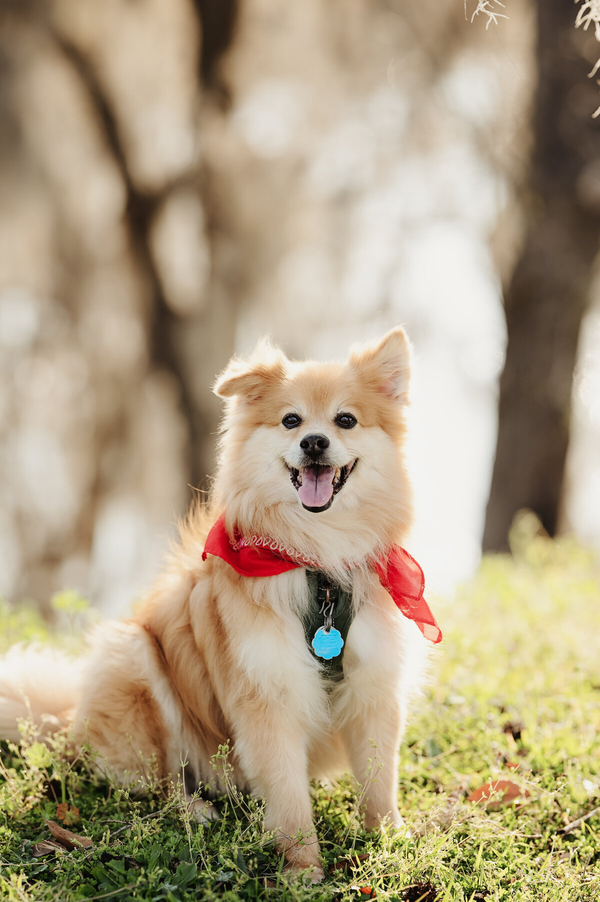 NinaJ_Spring2025_032