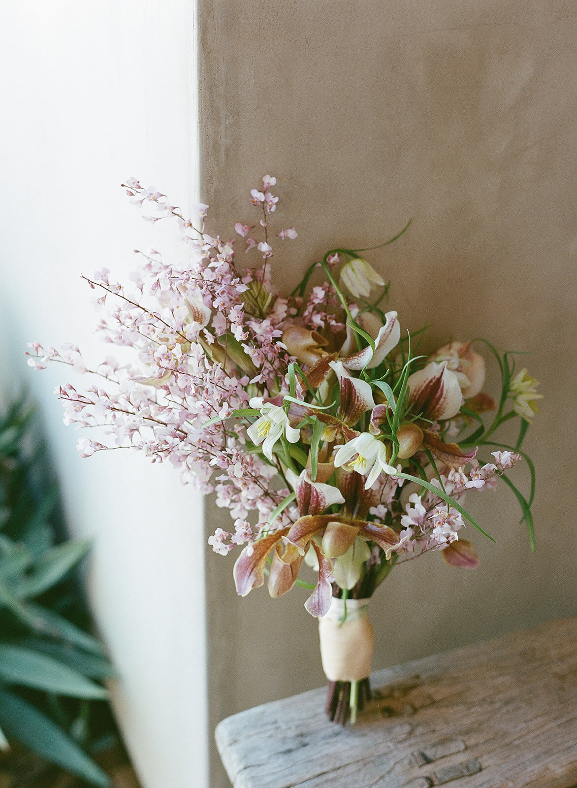 Agave House Editorial-Liz Andolina-28_websize