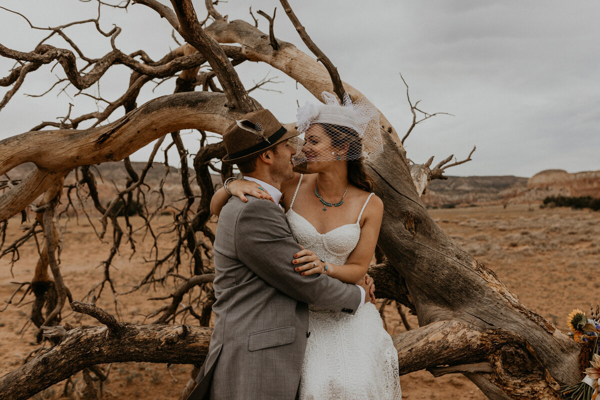 newlyweds posing  with a old dead tree in the desert