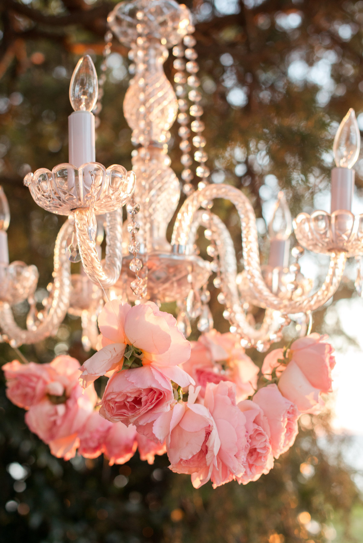 Heart's Content Events - Virginia Maryland DC Wedding and Event Planner - Marriage Coach - Adrienne Rolon - Photo6