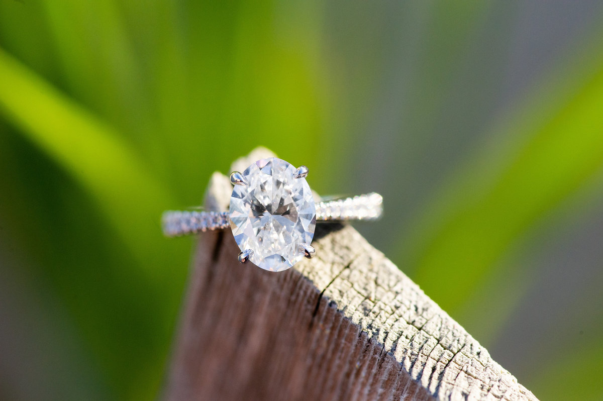 oval engagment ring with side stones on dune fence