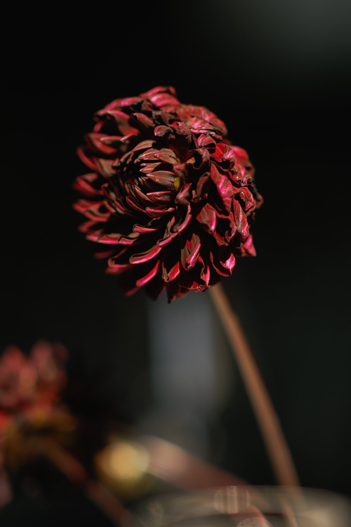 Lauren-Zach-Wedding-0885