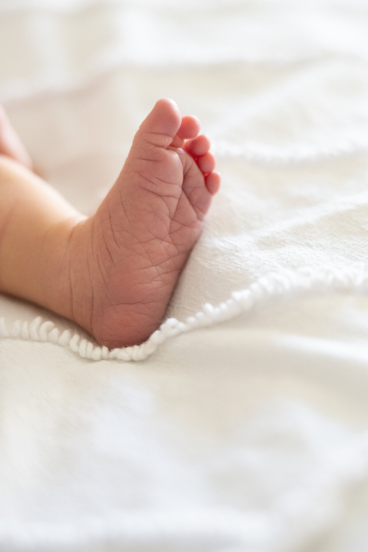 Malenke Family and Newborn Gallery 2025 November-70