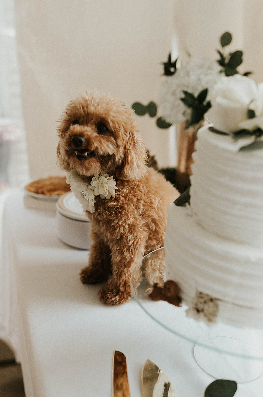 intimate-backyard-wedding-upper-peninsula-Michigan-36