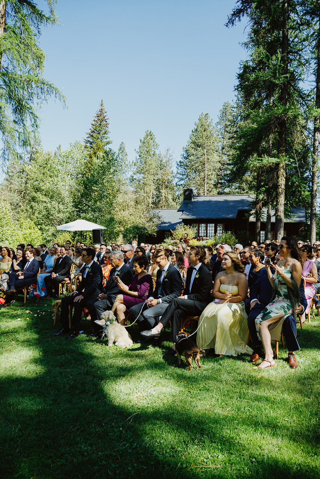 IsolaHenryCaffee_DavidAnnWeddings-0501