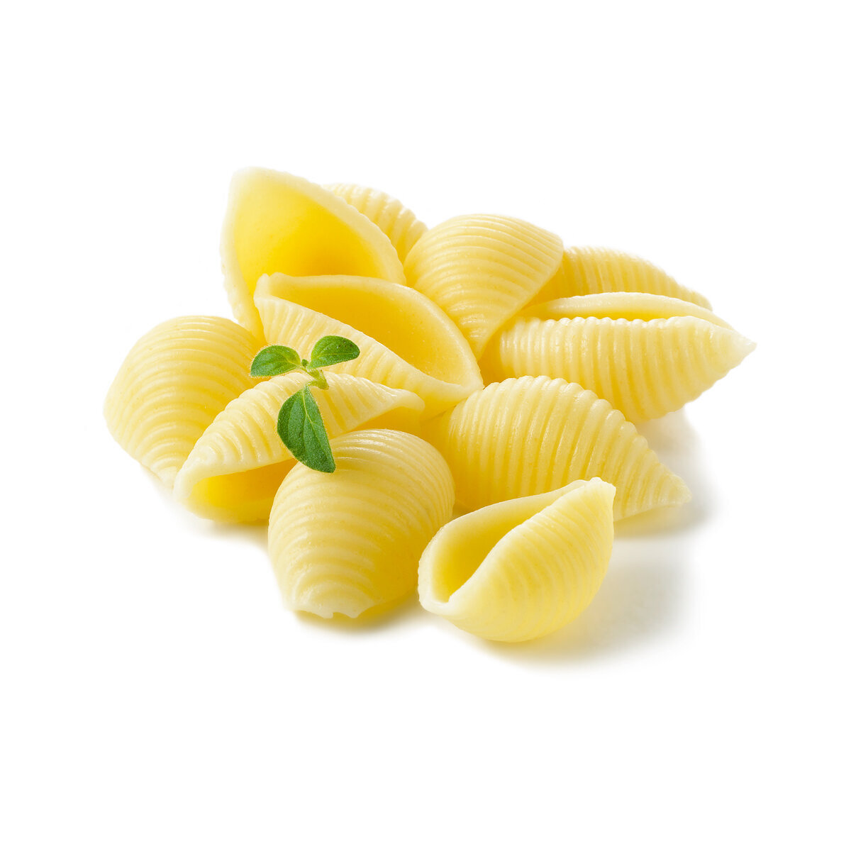 ©Dasha Wright Creative_Dasha Wright Photography_Dallas Food Photography_Publix Supermarket_Food Packaging_Medium-Pasta-Shells