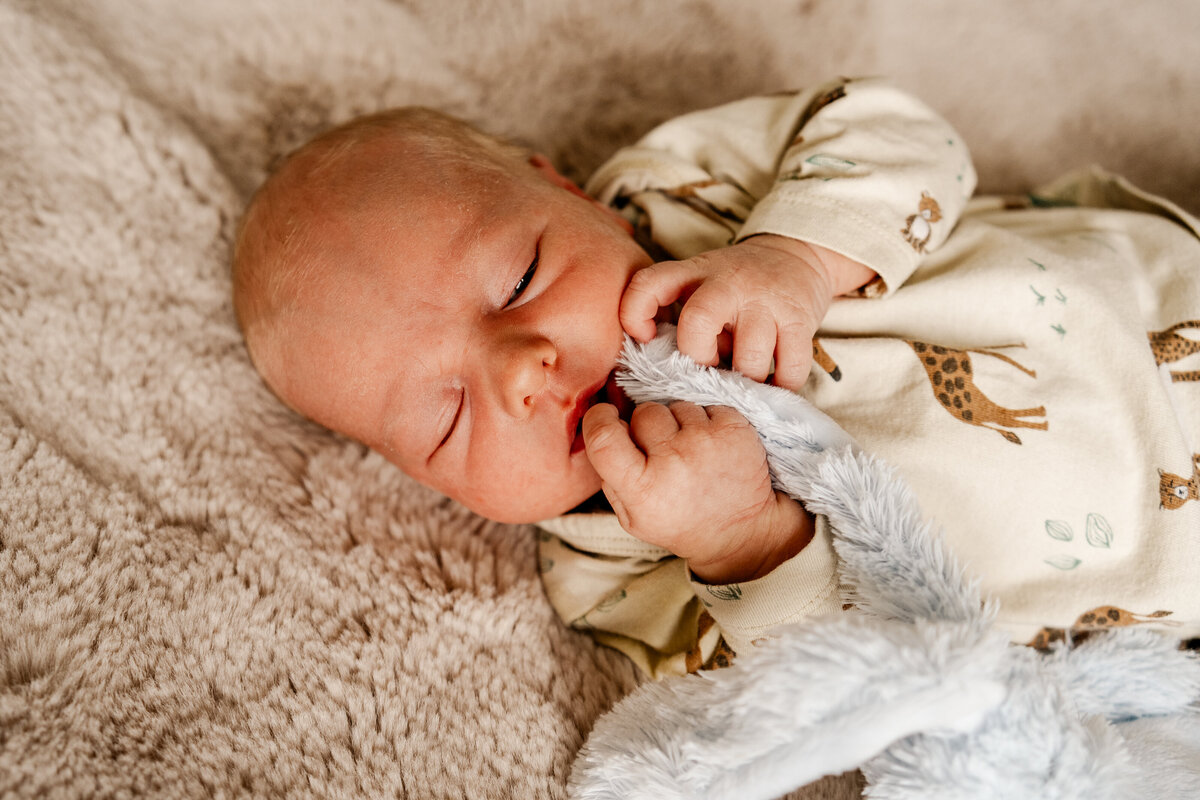 Newbornshoot Tobias 1 HR