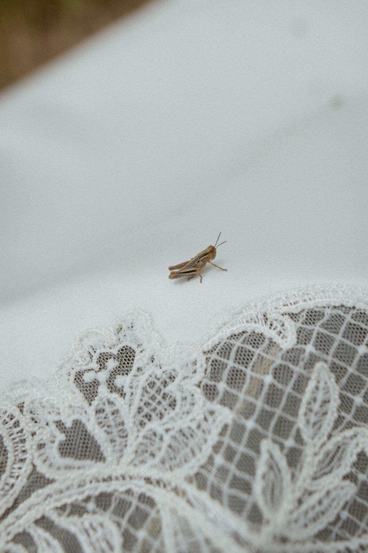 Wedding_Colorado_June2024_Claire_Keathley_Photography-777