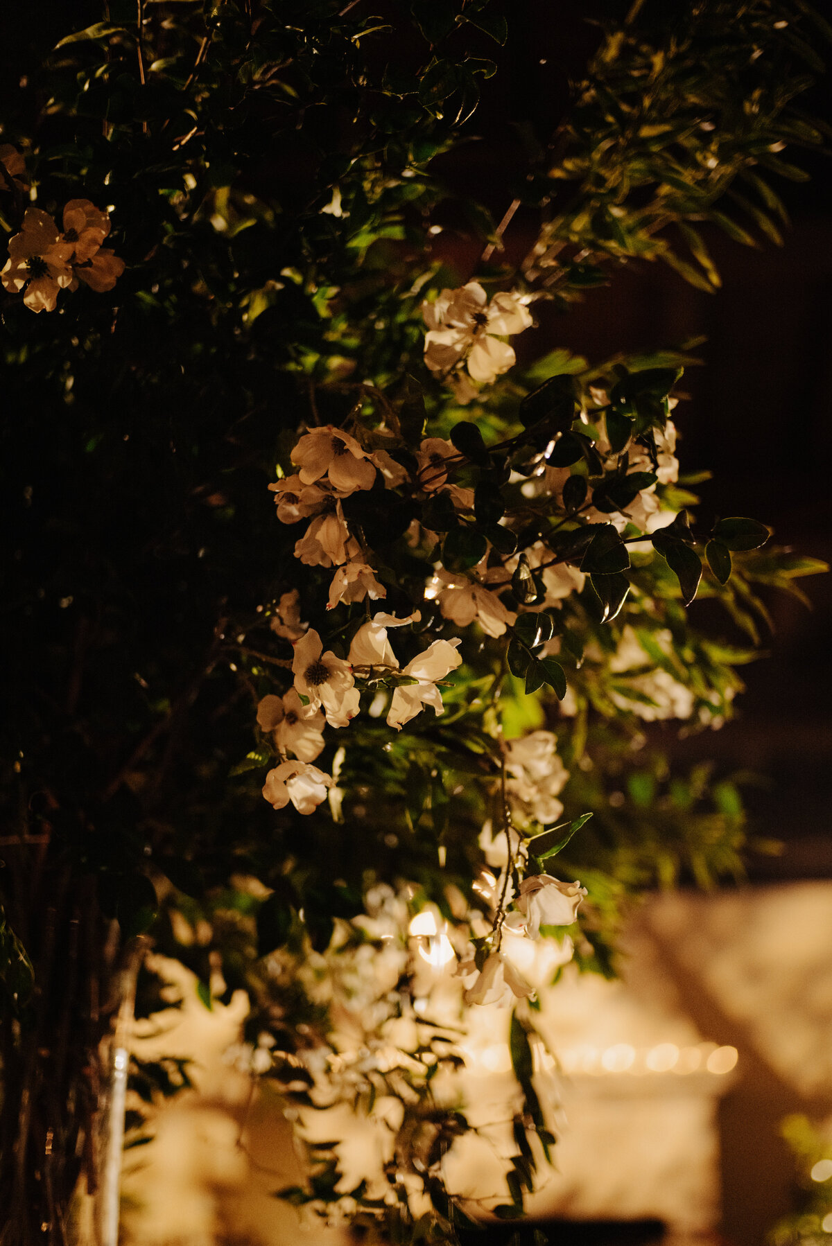 Eleanor_Elizabeth_129